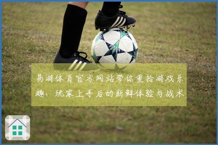 易游体育官方网站带你重拾游戏乐趣，玩家上手后的新鲜体验与战术解析